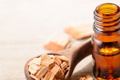 Tinh dầu đàn hương là gì? Lợi ích và cách sử dụng tinh dầu đàn hương